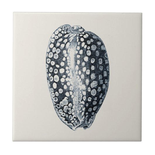 Indigo Seashell Tegeltje (Voorkant)