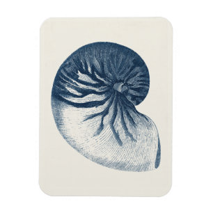 Indigo Shark Eye Seashell Magneet