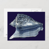 Indigo Shells I Briefkaart (Voorkant / Achterkant)