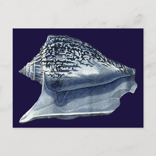Indigo Shells I Briefkaart (Voorkant)