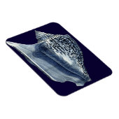 Indigo Shells I Magneet (Rechterzijde)