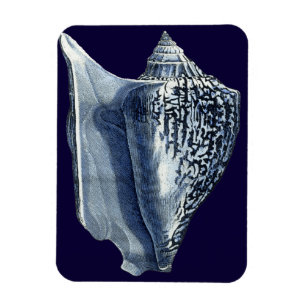 Indigo Shells I Magneet
