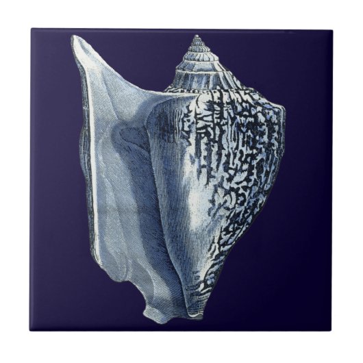 Indigo Shells I Tegeltje (Voorkant)
