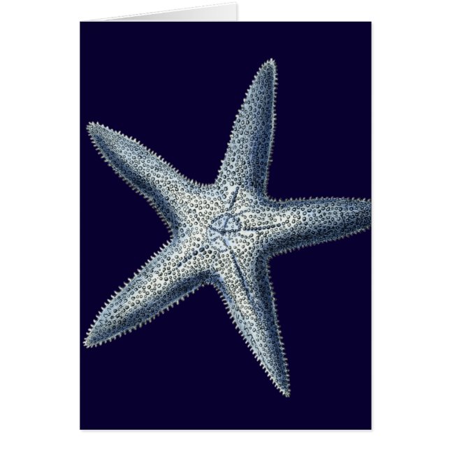 Indigo Shells IV (Devant)