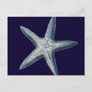 Indigo Shells IV Briefkaart