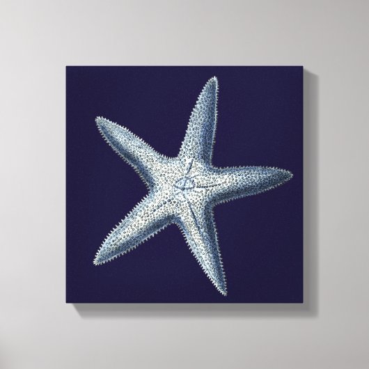 Indigo Shells IV Canvas Afdruk (Voorkant)