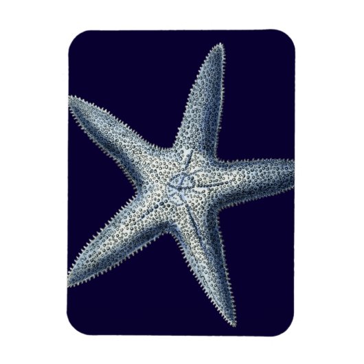 Indigo Shells IV Magneet (Verticaal)