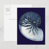 Indigo Shells VII Briefkaart (Voorkant / Achterkant)