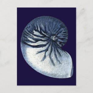 Indigo Shells VII Briefkaart