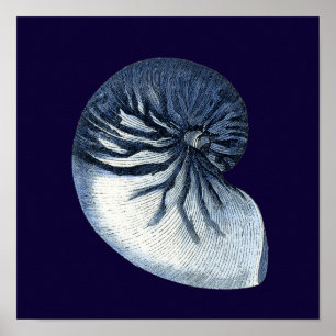 Indigo Shells VII Poster