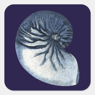 Indigo Shells VII Vierkante Sticker
