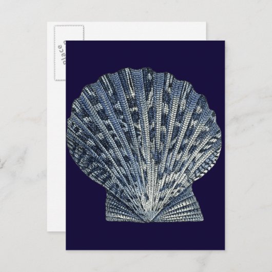 Indigo Shells VIII Briefkaart (Voorkant / Achterkant)
