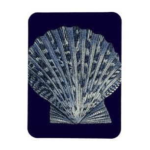 Indigo Shells VIII Magneet