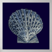 Indigo Shells VIII Poster (Voorkant)