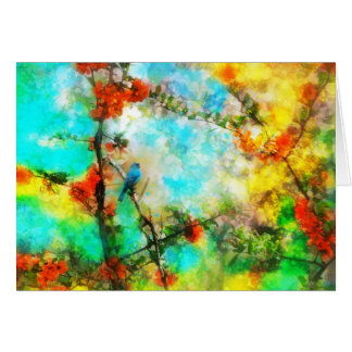 Indigo, Verlichtingskaart Indigo