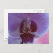Indigokleurige orchidee briefkaart (Voorkant / Achterkant)