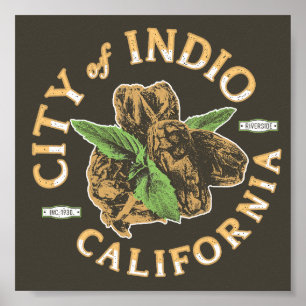 INDIO RIVERSIDE CALIFORNIA - DADELPALM POSTER