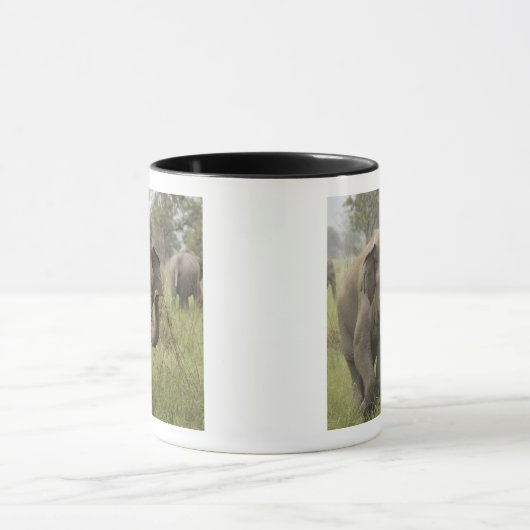 Indische Aziatische olifant begroeting Mok (Midden)