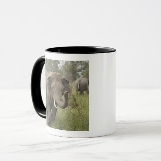 Indische Aziatische olifant begroeting Mok (Voorkant links)