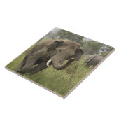 Indische Aziatische Olifant Begroeting Tegeltje (Zijkant)
