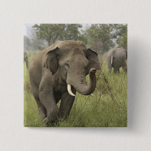 Indische Aziatische Olifant Begroeting Vierkante Button 5,1 Cm