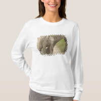 Indische / Aziatische Olifant en jong,Corbett 2