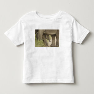 Indische / Aziatische Olifant en jong,Corbett Kinder Shirts