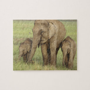 Indische Aziatische Olifant & Jongen Legpuzzel