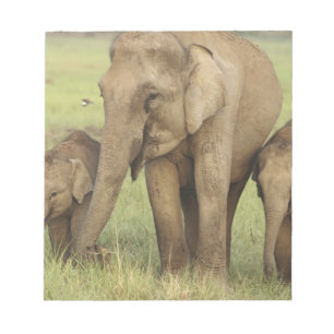Indische Aziatische Olifant & Jongeren Notitieblok