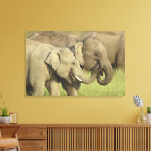 Indische Aziatische olifanten Canvas Afdruk (Insitu (Woonkamer))