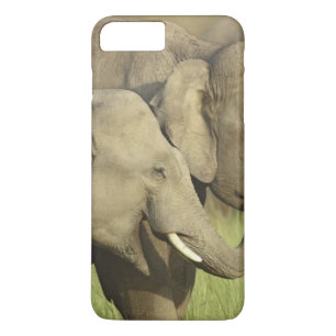 Indische Aziatische Olifanten iPhone 8 Plus / 7 Plus Hoesje