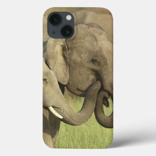 Indische Aziatische Olifanten iPhone 13 Hoesje