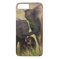 Indische Aziatische Olifantenfamilie in de Savanna