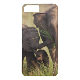 Indische Aziatische Olifantenfamilie in de Savanna iPhone 8 Plus / 7 Plus Hoesje