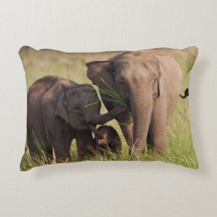 Indische Aziatische Olifantenfamilie in de Savanna Decoratief Kussen