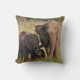 Indische Aziatische Olifantenfamilie in de Savanna Kussen