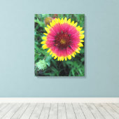 Indische bloem - Texas Wildflower Canvas Afdruk (Insitu (Houten vloer))