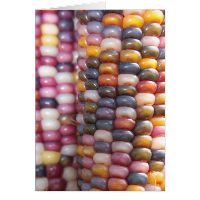 Indische corn (Voorkant)