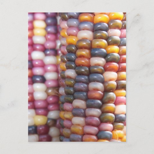 Indische corn briefkaart (Voorkant)