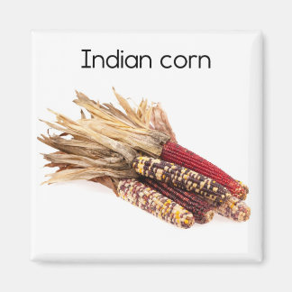 Indische cornkoelkast Magnet Magneet