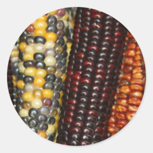 Indische cornvariëteiten ronde sticker