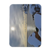 Indische cove Magnet Magneet (Verticaal)