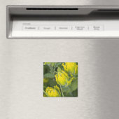 Indische gouden penseel Castilleja Magneet (Insitu (Vaatwasser))