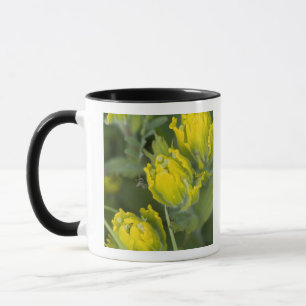 Indische Gouden Penseel Castilleja Mok