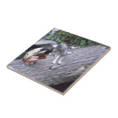 Indische Indische Native met Wolf Tegeltje (Zijkant)