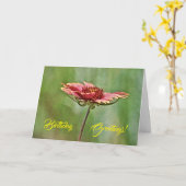 Indische Kaart van wilde bloemen (Gele Bloem)