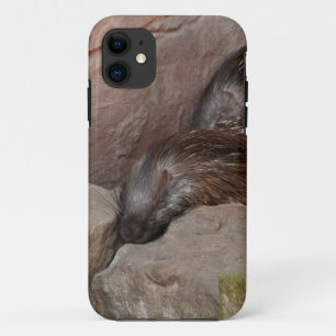 Indische Kuifstekelvarkens iPhone 11 Hoesje