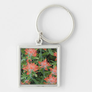 Indische kwastbloemen in de Many Sleutelhanger