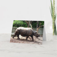 Indische neushoorn dier