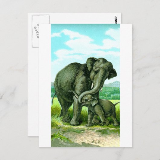 Indische olifant briefkaart (Voorkant / Achterkant)